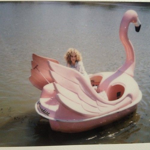 Pink flamingo boat