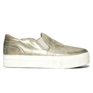 Ash Jungle Bis Metal Dave