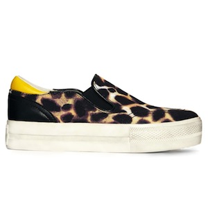 Ash - Jungle bis cheeta