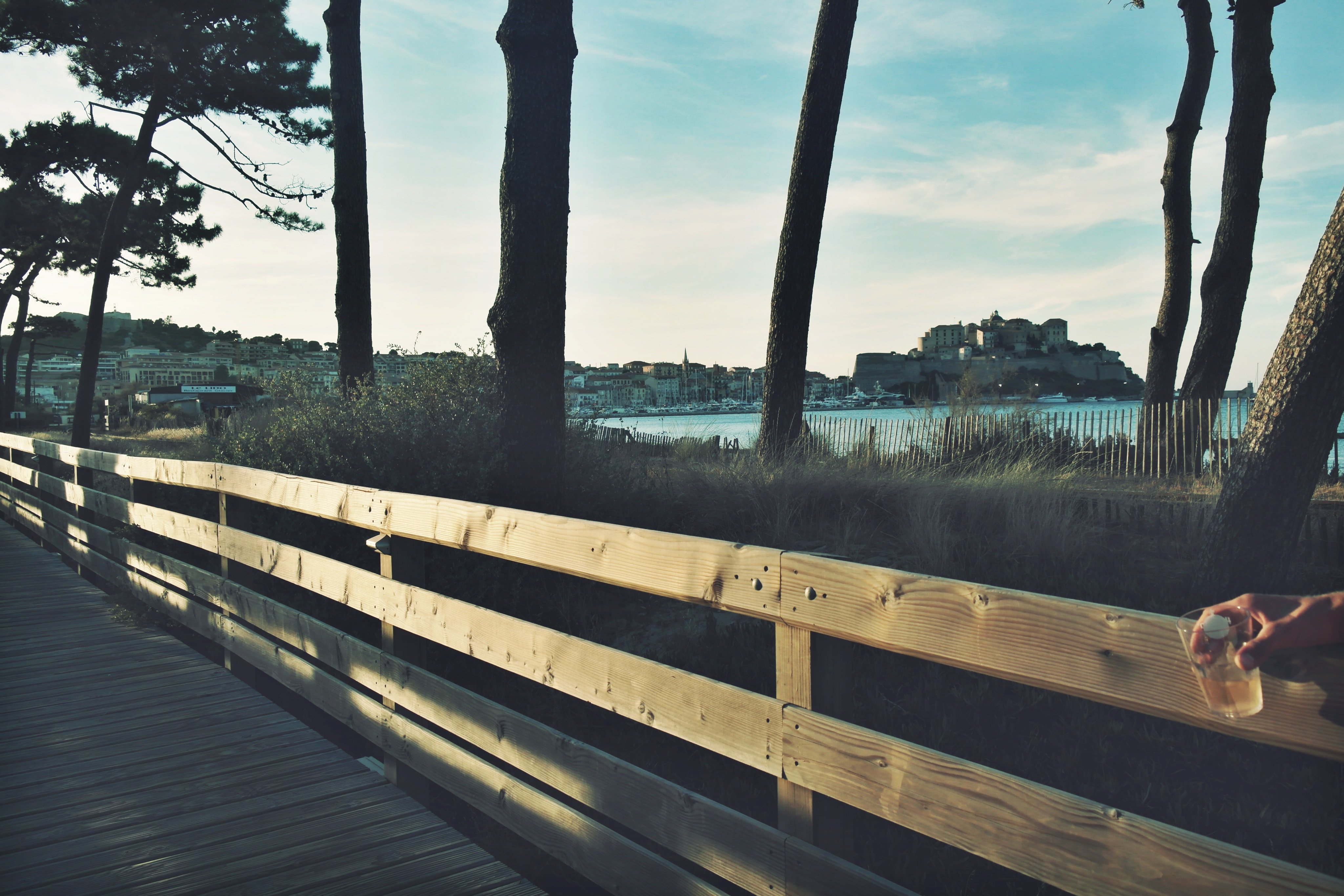 Calvi on the rocks 2014