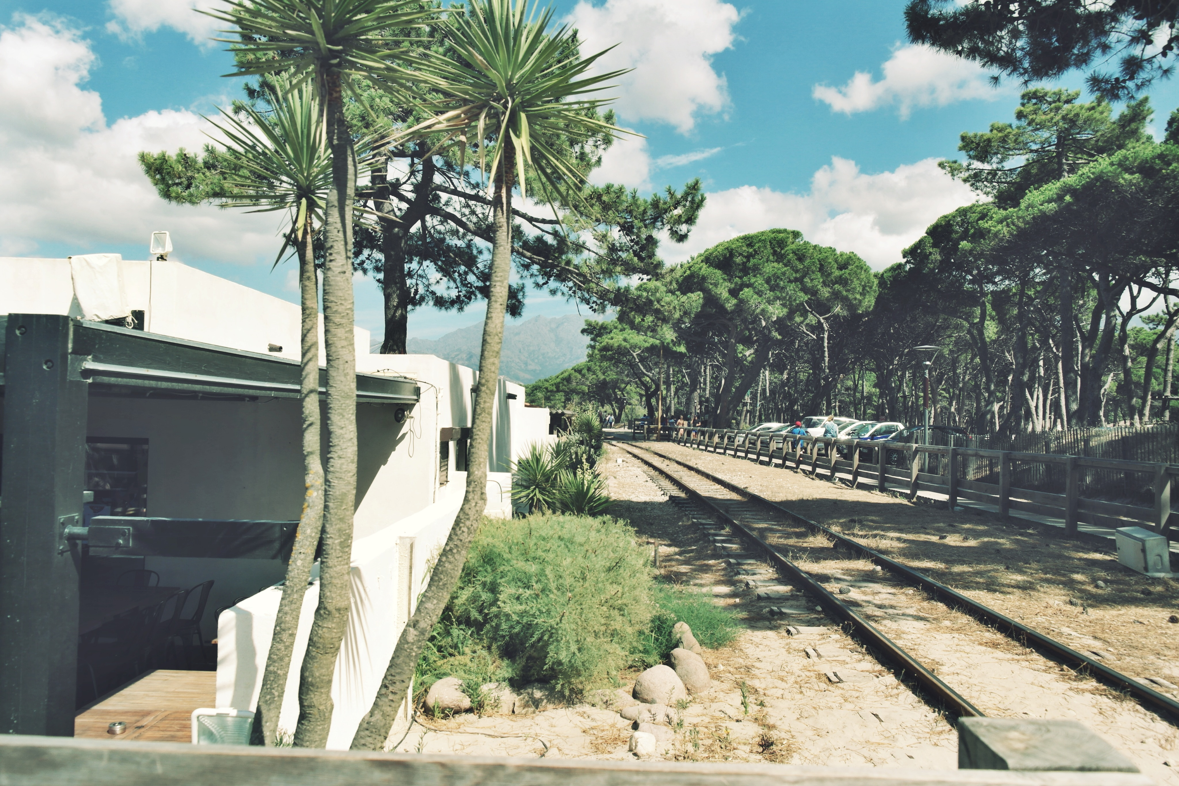 Calvi on the rocks 2014 - Octopussy