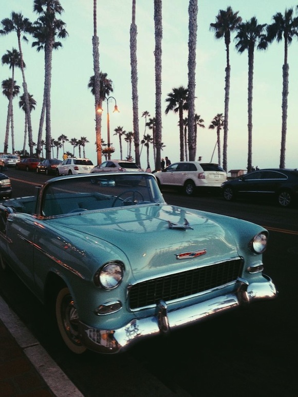 car and palms
