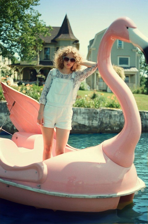 flamingo boat