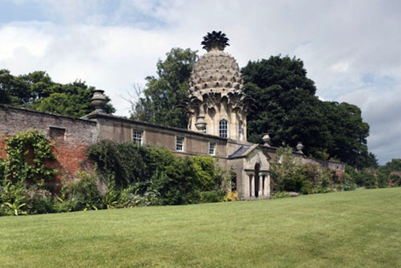 pineapple house