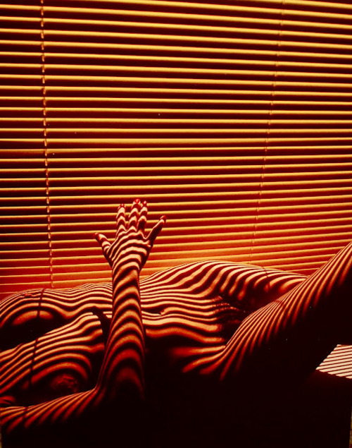 Sunlight