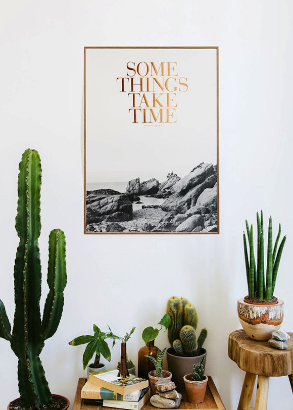 cactus some things take time