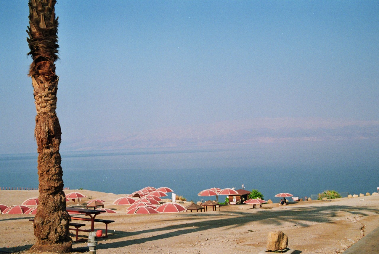 Hermine Naudin - argentique