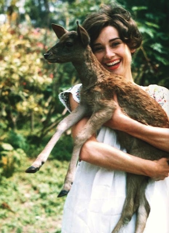 audrey hepburn deer