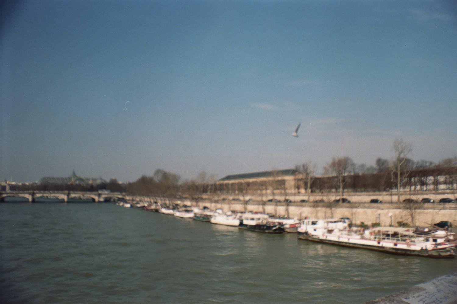 Paris - Sardina Lomography x Kodak Portra 500