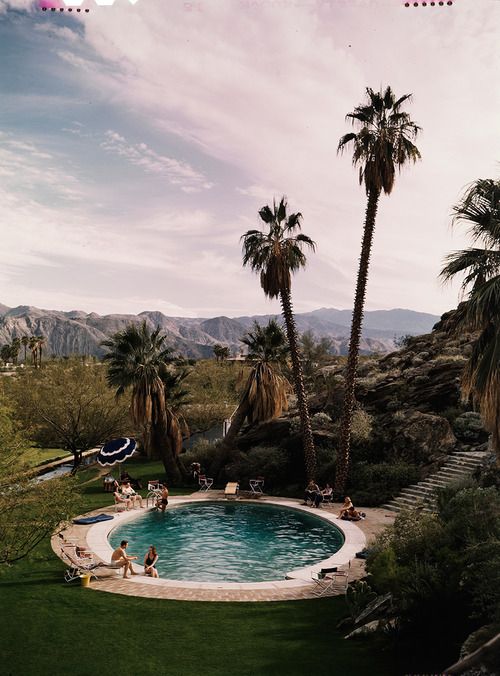 Pool and palms