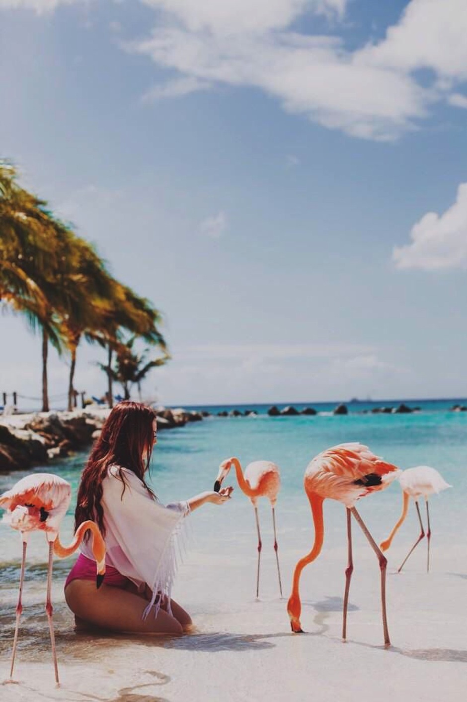 summer sea backdrop