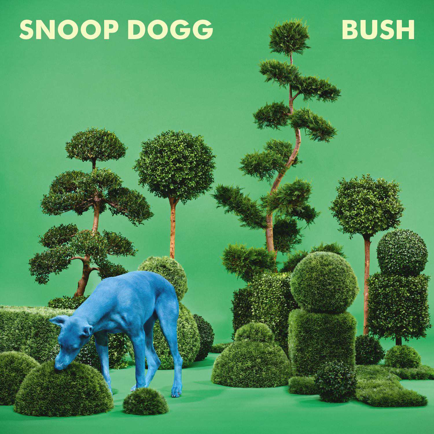 Snoop-Dogg-Bush