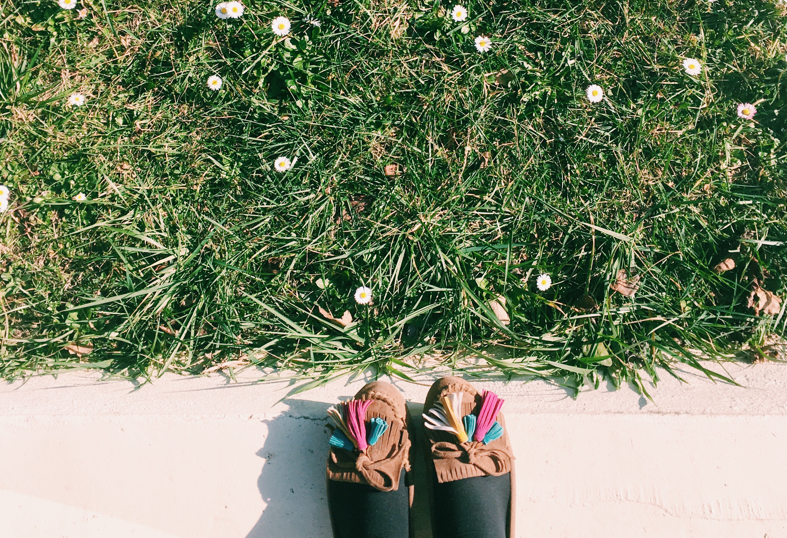 Backdrop party photography pictures